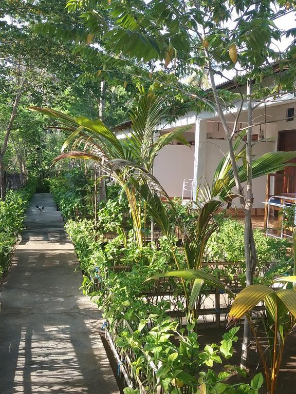Putri Homestay Гілі-Мено Екстер'єр фото
